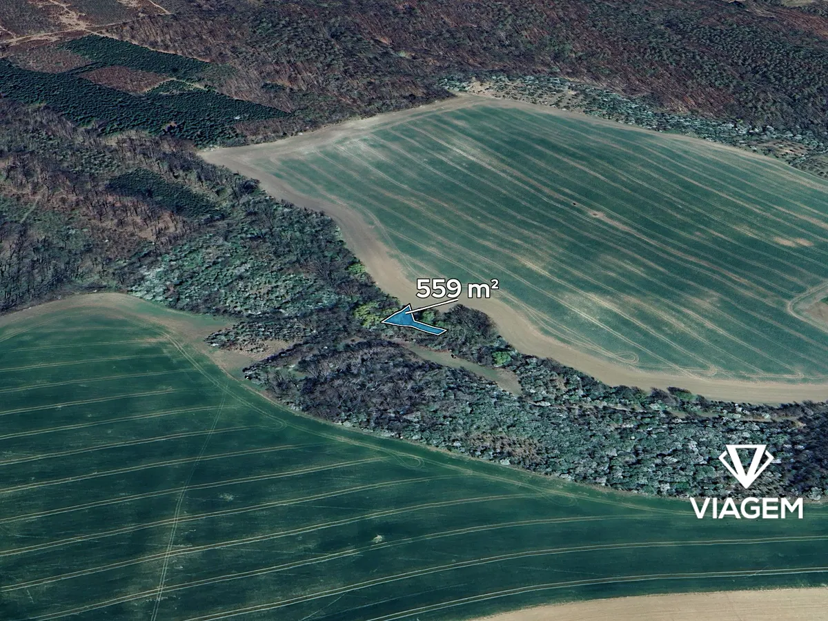 Prodej pole 559 m²